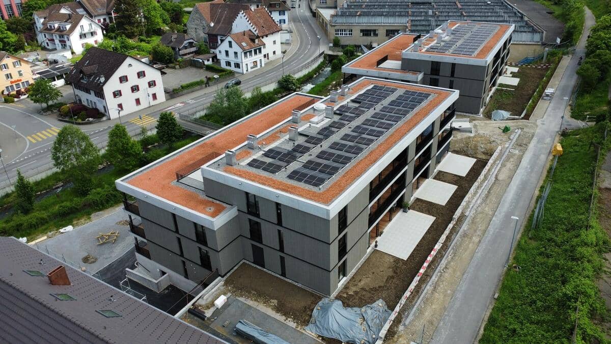 2 MFH Niederlenz. Flachdach in Niederlenz, Bild 4